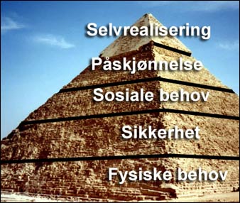 Maslows behovspyramide
