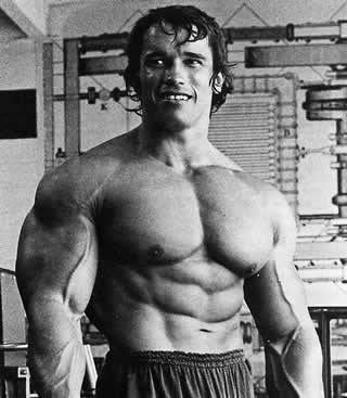Arnold Schwarzenegger overkropp